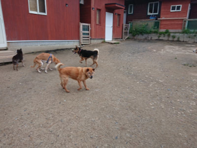 f:id:roukenhome-ann:20190429185420j:plain