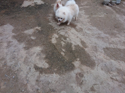 f:id:roukenhome-ann:20190429185427j:plain