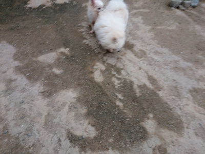 f:id:roukenhome-ann:20190429185433j:plain
