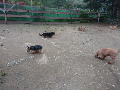 f:id:roukenhome-ann:20190429185438j:plain