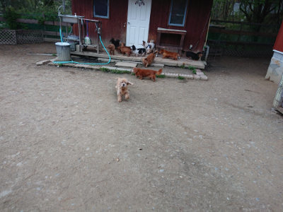 f:id:roukenhome-ann:20190429185449j:plain