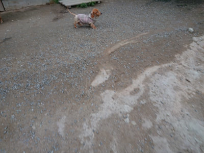 f:id:roukenhome-ann:20190429185456j:plain