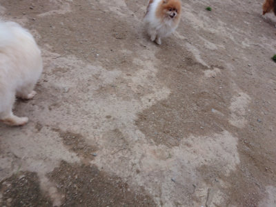 f:id:roukenhome-ann:20190429185506j:plain