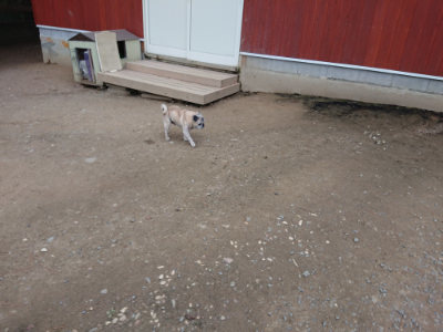f:id:roukenhome-ann:20190429185511j:plain