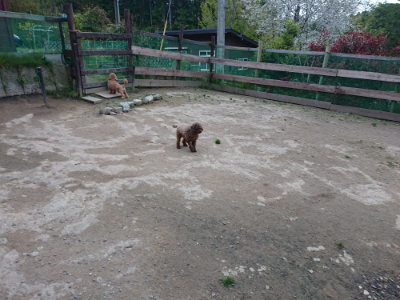 f:id:roukenhome-ann:20190429185518j:plain