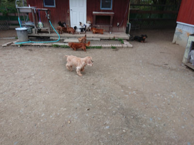 f:id:roukenhome-ann:20190429185524j:plain