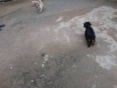 f:id:roukenhome-ann:20190429185533j:plain
