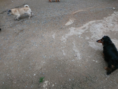 f:id:roukenhome-ann:20190429185540j:plain