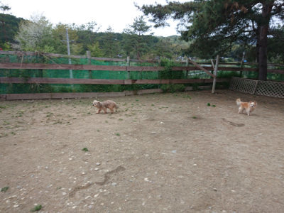 f:id:roukenhome-ann:20190429185545j:plain