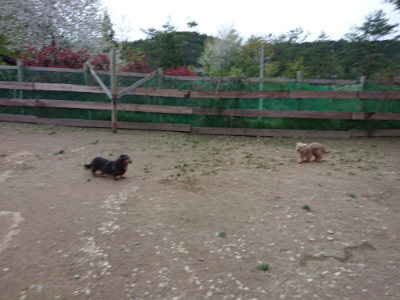 f:id:roukenhome-ann:20190429185549j:plain