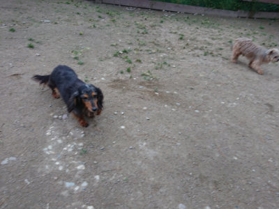 f:id:roukenhome-ann:20190429185556j:plain