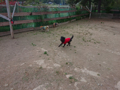 f:id:roukenhome-ann:20190429185606j:plain