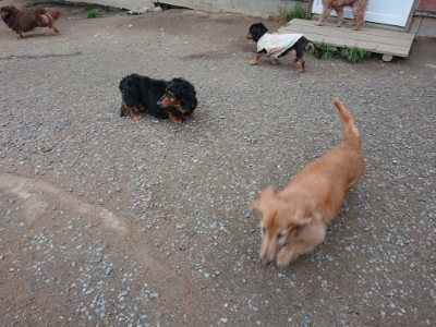 f:id:roukenhome-ann:20190429185617j:plain