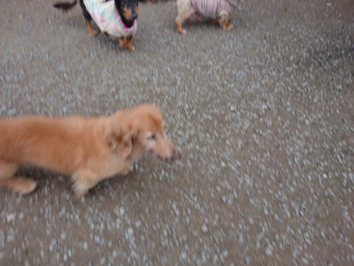 f:id:roukenhome-ann:20190429185658j:plain