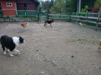f:id:roukenhome-ann:20190429185714j:plain