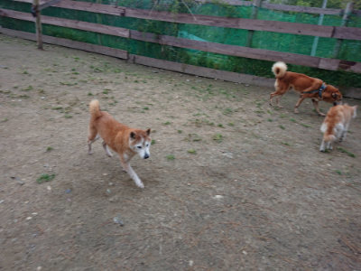 f:id:roukenhome-ann:20190429185718j:plain