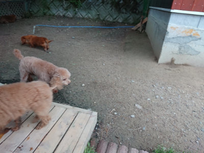 f:id:roukenhome-ann:20190429190016j:plain
