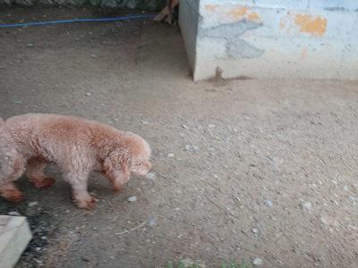 f:id:roukenhome-ann:20190429190020j:plain