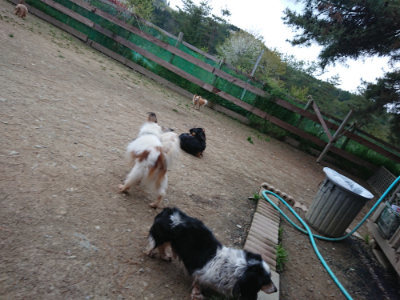 f:id:roukenhome-ann:20190429190026j:plain