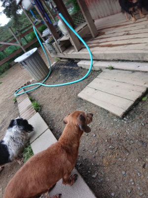 f:id:roukenhome-ann:20190429190032j:plain