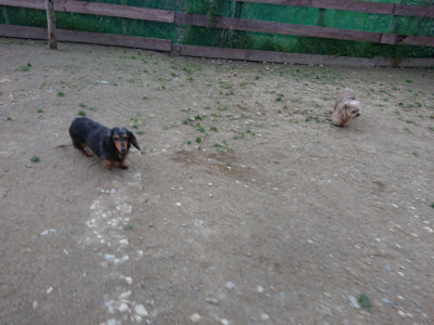 f:id:roukenhome-ann:20190429190048j:plain
