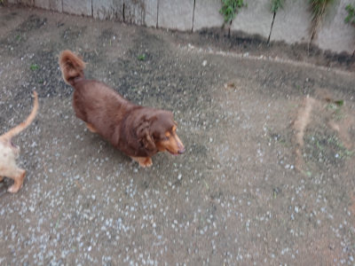 f:id:roukenhome-ann:20190429190052j:plain