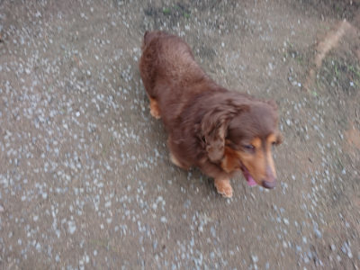 f:id:roukenhome-ann:20190429190057j:plain