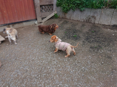 f:id:roukenhome-ann:20190429190127j:plain