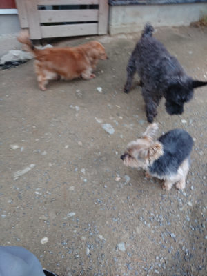 f:id:roukenhome-ann:20190429190154j:plain