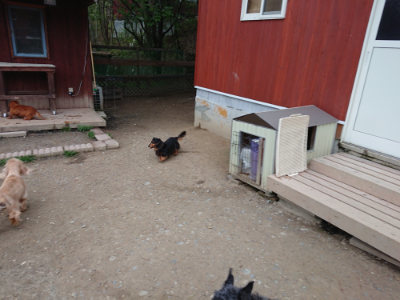 f:id:roukenhome-ann:20190429190215j:plain