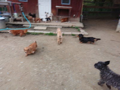 f:id:roukenhome-ann:20190429190221j:plain