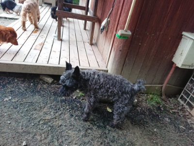 f:id:roukenhome-ann:20190429190241j:plain