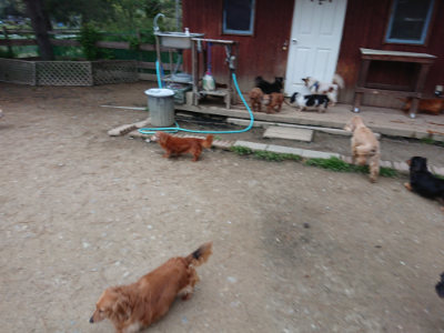 f:id:roukenhome-ann:20190429190248j:plain