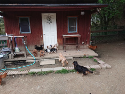 f:id:roukenhome-ann:20190429190253j:plain