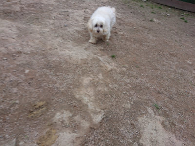 f:id:roukenhome-ann:20190429190302j:plain