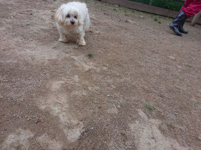 f:id:roukenhome-ann:20190429190308j:plain