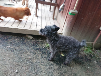 f:id:roukenhome-ann:20190429190314j:plain