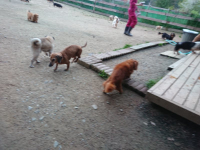 f:id:roukenhome-ann:20190429190322j:plain
