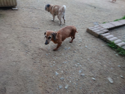 f:id:roukenhome-ann:20190429190328j:plain