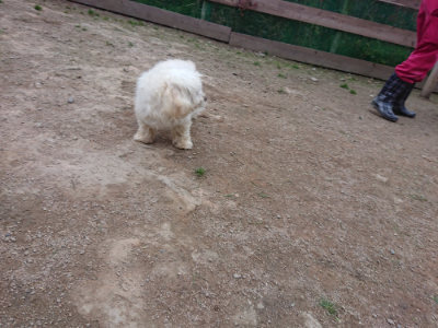 f:id:roukenhome-ann:20190429190332j:plain