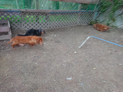 f:id:roukenhome-ann:20190429190339j:plain
