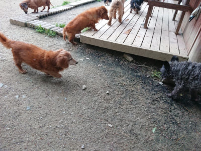 f:id:roukenhome-ann:20190429190359j:plain