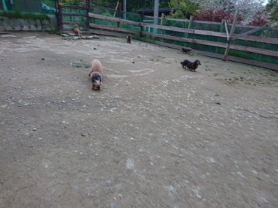 f:id:roukenhome-ann:20190429190424j:plain