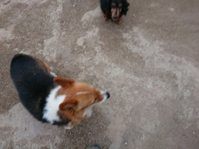 f:id:roukenhome-ann:20190429190436j:plain