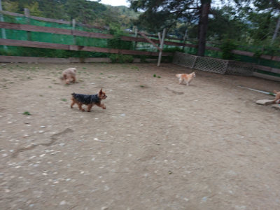 f:id:roukenhome-ann:20190429190454j:plain