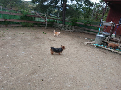 f:id:roukenhome-ann:20190429190500j:plain