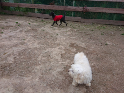f:id:roukenhome-ann:20190429190505j:plain