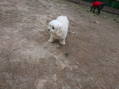 f:id:roukenhome-ann:20190429190545j:plain
