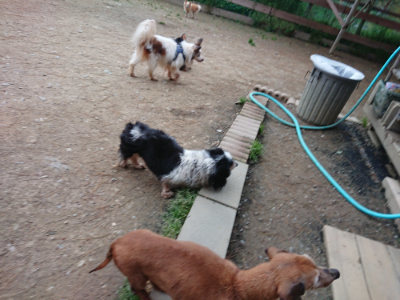 f:id:roukenhome-ann:20190429190629j:plain