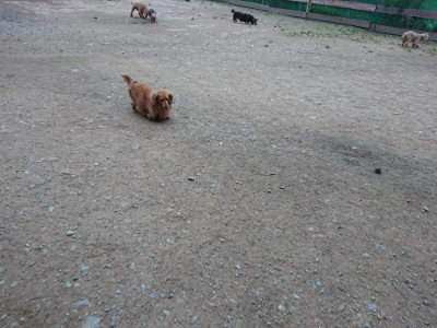f:id:roukenhome-ann:20190429190635j:plain